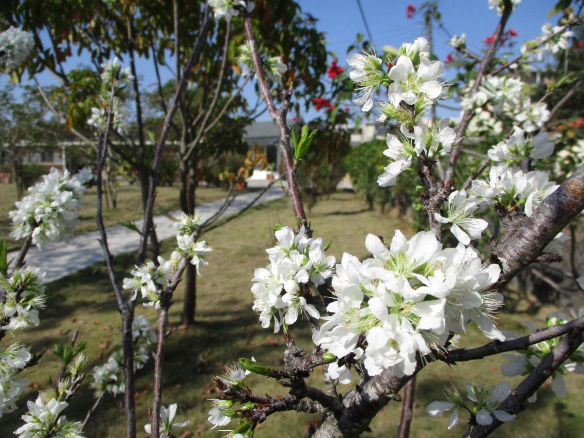 Bed and Breakfast Joel'S Garden 悠爾庭園古厝民宿 Stadtteil Baihe District Exterior foto